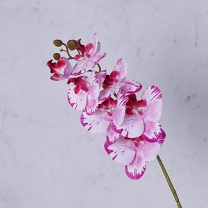 Arreglo Floral Artificial de Phalaenopsis de 7 Cabezas en Jarrón, Flores Realistas de Alta Gama, Decoración Floral Exclusiva <span class=keywords><strong>para</strong></span> Sala de Estar - Product Image 6