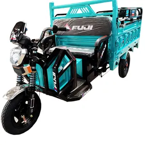 Popular High quality 60V 30AH 45AH 52AH 1000W Three wheels triciclo electrico Electric cargo tricycle