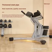 Chaise romaine multifonctionnelle professionnelle, équipement de gym pliable pour la maison, pour l'entraînement du tronc, du bas du dos et des abdominaux