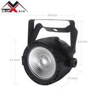 Le MINI plastique DMX de l'ÉPI 30W RVB de lumière de pair de LED a mené la lumière de pair pour l'exposition de mariage de disco