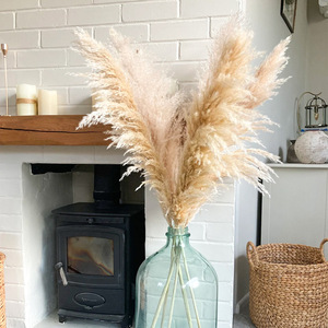 Hierba de <span class=keywords><strong>Pampas</strong></span> Seca, Pluma Grande Beige para Decoración Boho del Hogar, Arreglo Floral Seco Natural - Product Image 3