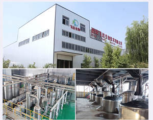 Натуральный 90% хитозан, цена, олигосахарид нано Хитозан - Product Image 6