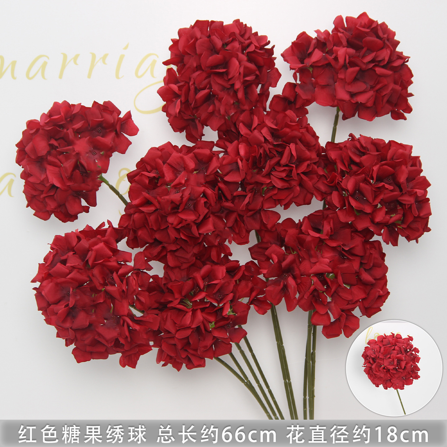 Hortensia rouge bonbon