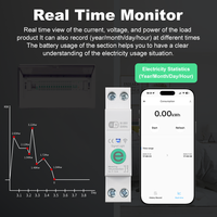Disjoncteur intelligent WiFi Ewelink 16A 1P+N avec compteur Kwh, relais temporisé, protection contre les surtensions et les surintensités, compatible Alexa, Google Home, Alice