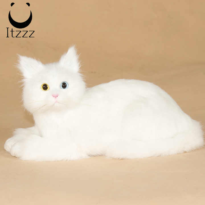Gattino Realistico In Peluche BYNYXI - Decorazione Per Casa, Giocattolo Per Bambini, Bianco E Morbido - Foto 9