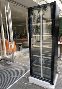 NE-377 <span class=keywords><strong>Cave</strong></span> <span class=keywords><strong>à</strong></span> <span class=keywords><strong>vin</strong></span> rouge et bière moderne en verre de haute qualité, <span class=keywords><strong>à</strong></span> contrôle de température intelligent, pour hôtel commercial - Product Image 2