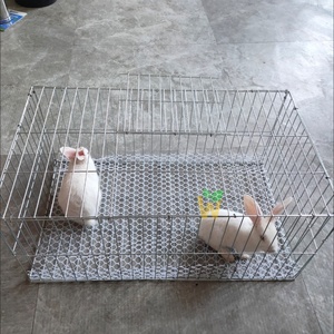Diseño de <span class=keywords><strong>jaula</strong></span> <span class=keywords><strong>para</strong></span> gallos, conejos y gallinas; jaulas caseras <span class=keywords><strong>para</strong></span> pollos - Product Image 6