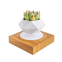 Pot de fleurs flottant à lévitation magnétique HCNT, en plastique ABS, alimenté électriquement, lévitation 12-15 mm, cadeau personnalisé pour la maison