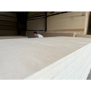 Nuovo arrivo 2 lati 16mm <span class=keywords><strong>compensato</strong></span> di betulla Uv 18mm 6mm 3mm pannelli di <span class=keywords><strong>compensato</strong></span> laminato <span class=keywords><strong>marino</strong></span> russo <span class=keywords><strong>compensato</strong></span> di betulla baltica - Product Image 3