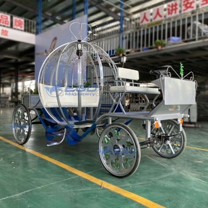 Cales électriques sans chevaux de style européen, classiques et royales, pour le tourisme, à prix avantageux, à vendre en 2025 - Product Image 6