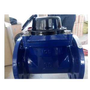 ウォルトマンドライ取り外し可能センサス水道メーター - Product Image 6