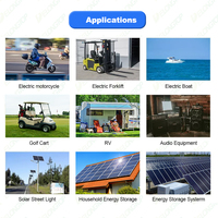 Baterai LiFePO4 12V 100Ah Profil Rendah Hemat Ruang untuk Pemasangan di Dinding, Berbagai Pilihan Kapasitas untuk Penyimpanan Energi RV Camper