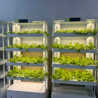 Système hydroponique intelligent gratuit pour la culture verticale de légumes à feuilles vertes en milieu commercial, à condition de commander 1 tonne d'engrais hydroponique.