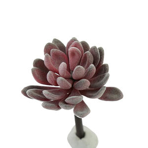 Mini selecciones suculentas artificiales sin maceta diferentes <span class=keywords><strong>tipos</strong></span> surtido suculento <span class=keywords><strong>de</strong></span> imitación <span class=keywords><strong>Echeveria</strong></span> Agave arreglo Floral decoración del hogar - Product Image 3