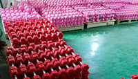 Haltères hexagonaux en PVC écologiques et élégants de 4 kg, couleur rose, équipement d'exercice avec support en fer et en caoutchouc à vendre