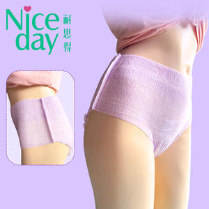 Good Fit Bikini Einweg Menstruation shose Leak Guard Period Pants Inkontinenz Unterwäsche für Frauen - Product Image 1