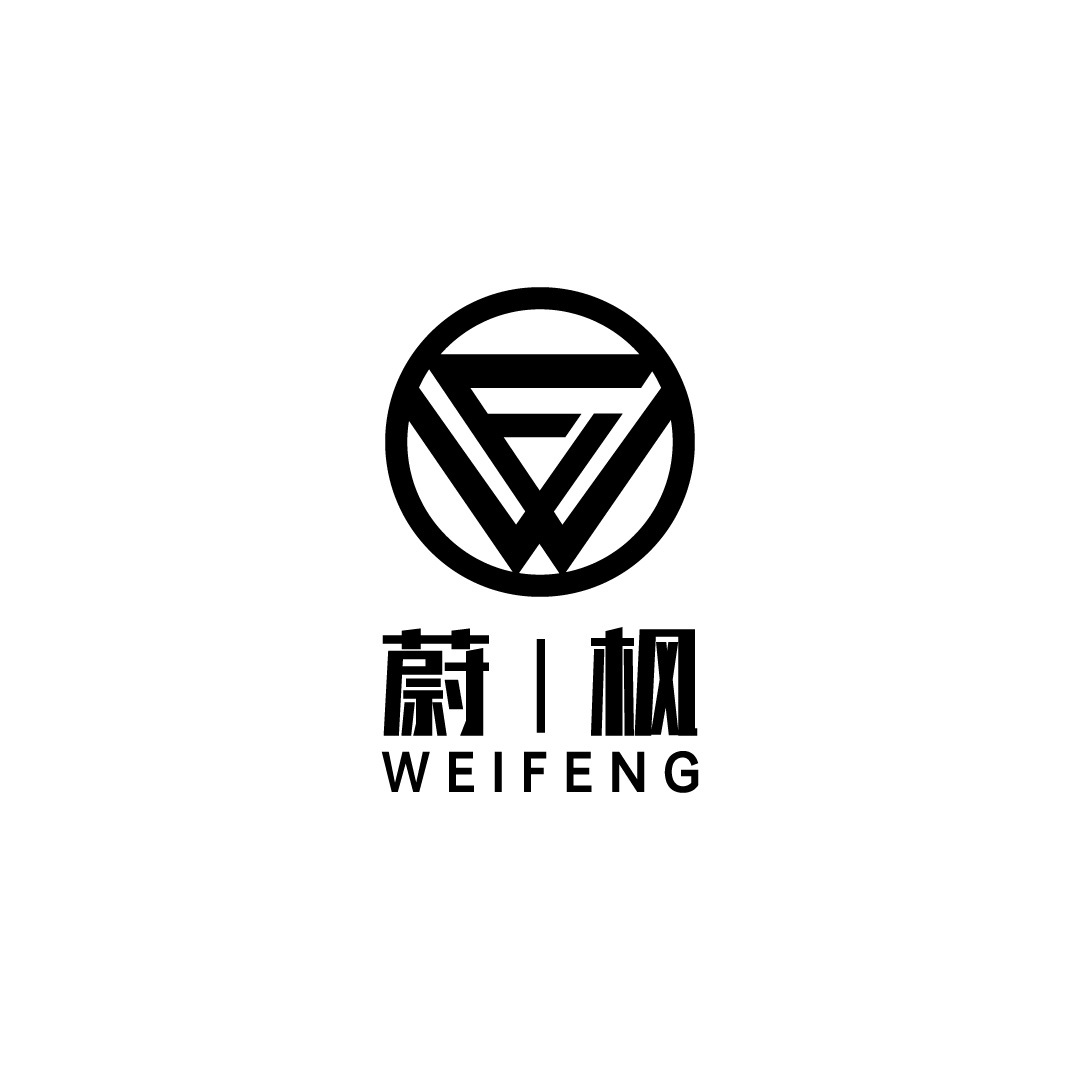 Wenzhou Weifeng Technology Co., Ltd. logo