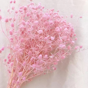<span class=keywords><strong>Flor</strong></span> Seca Decorativa al por Mayor, <span class=keywords><strong>Flor</strong></span> de Ajenjo Marino Ensilada para Arreglos Florales y Decoraciones de Boda - Product Image 4