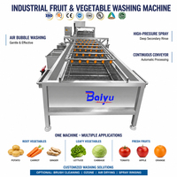 Industriële fruit- en groentewasmachine Automatische luchtbelwasser Ozonsterilisatie Vers product Aardappel Maïs Soja