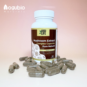 Extrait de champignon Fomes Fomentarius de qualité alimentaire en gros, matière première, poudre de Fomes Fomentarius à 50% - Product Image 3