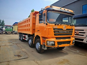 Б/у самосвал SHACMAN F3000 8x4: Мощность 400 л.с. для карьерных и инфраструктурных проектов - Product Image 6