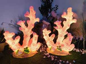 Luces LED de Coral para Decoración Exterior en Navidad, Jardín, Plaza, Resort, Crean una Atmósfera Festiva Encantadora - Product Image 1