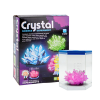 Kit de laboratoire de chimie éducatif DIY : Modèle réaliste de culture de cristaux STEM, unité de ressources de découverte minéralogique robuste, pack en étui