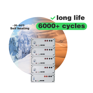 แบตเตอรี่แอปอัจฉริยะระบบเก็บพลังงานในบ้าน LiFePO4จากเซินเจิ้น - Product Image 4