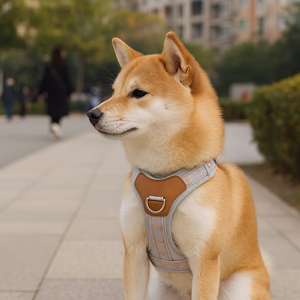 Style Dog Elegant Patterned Pet Vest Adjustable No Pull Harness For Small Medium Large Dogs Soft <b>Padded</b> <b>Walking</b> Vest - Product Image 5