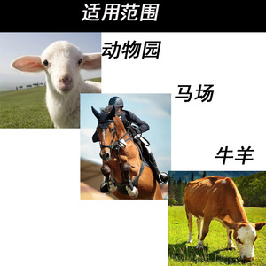 Bolsa para Heno de Caballo con Diseño de Alimentación Lenta para Uso en Establos y Exteriores, Color Azul - Product Image 2