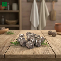 Chaoan Luyuan, Certificado ISO22000, OEM, Malvaviscos Liofilizados con Recubrimiento de Chocolate, Barra Sólida de Caramelo, Delicias Dulces, 12 Unidades
