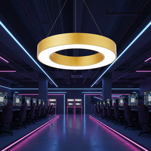 โคมไฟวงแหวนรูปไข่สีทองสำหรับงานต้อนรับ, ล็อบบี้, ซูเปอร์มาร์เก็ต, โครงการวิศวกรรมห้างสรรพสินค้า - Product Image 6