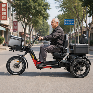 รถ<span class=keywords><strong>สามล้อ</strong></span>บรรทุกคุณภาพสูง ปี 2026 กำลังไฟ 2500 วัตต์ 48 โวลต์ 152 แอมป์ชั่วโมง รถ<span class=keywords><strong>สามล้อ</strong></span>ไฟฟ้าแบตเตอรี่ลิเธียม สำหรับผู้ใหญ่/ผู้สูงอายุ - Product Image 1