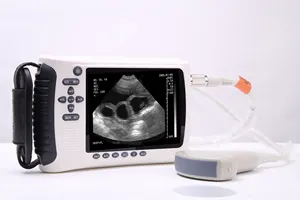 Large Animal Pregnancy Test Electronic Probe Ultrasonic Examination Instrument Rectal Probe Micro-convex Probe