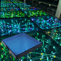 Piste de danse LED de type étoile avec contrôle DMX512, éclairage RGB, indice de protection IP65 - Utilisation intérieure/extérieure, garantie de 2 ans