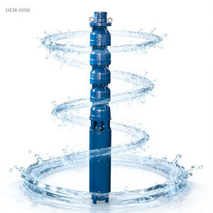 Pompe <span class=keywords><strong>submersible</strong></span> pour puits en acier inoxydable 304 de qualité supérieure - 2 CV, hauteur de refoulement de 100 mètres, irrigation domestique et de jardin - Product Image 1