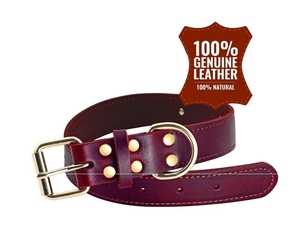 Collar de Perro Moderno de Cuero PU Sólido con Placa de Identificación Grabada, Diseño Suave Personalizado, Color Personalizado Ecológico - Product Image 6