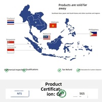 Litière pour chat anglaise, agglomérante, très absorbante, faible en poussière, marque Shopee, vietnamienne-malaisienne, 2 kg, Hebei Pure Tofu, pour le marché transfrontalier