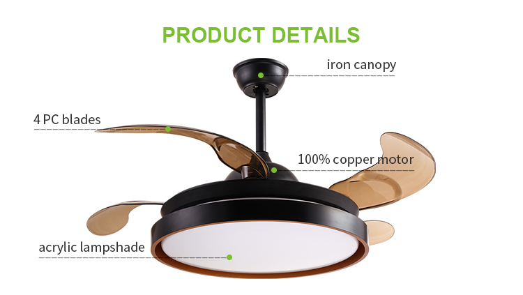 Decorative ceiling fan light
