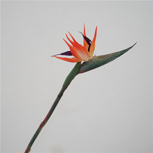 2025 nuovo paradiso degli uccelli 63CM arancio blu vero tocco fiori artificiali disposizione decorazione della casa - Product Image 5