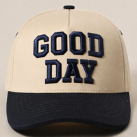 Gorra de Béisbol Clásica de Dos Tonos con Visera Curva, Logotipo Bordado Personalizado para Ropa Deportiva, Venta al Por Mayor