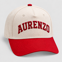 Casquette de baseball unisexe en coton structuré à 5 panneaux avec logo personnalisé brodé en 3D, chapeau de sport réglable pour la course à pied, OEM ODM, vente en gros, directement de l'usine