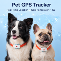 Rastreador GPS Inteligente para Mascotas con Reproducción de Rutas, Geo-Cerca, Rastreo 4G, Resistente al Agua IP67, Hecho de Plástico y Nailon