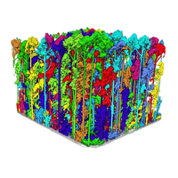 GreenValley LiDAR360 V9, Procesamiento de Nubes de Puntos con IA de Vanguardia para Segmentación de Árboles Individuales, ALS, ULS, MLS, BLS, HLS, TLS