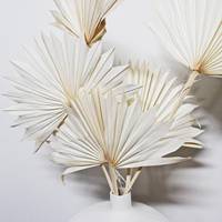 Feuilles de palmier florales séchées traitées naturelles en gros ventilateur sec feuilles de palmier blanchies pour la décoration de fleurs de mariage palmier