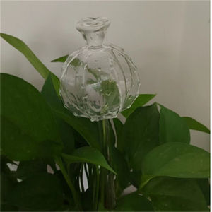 <span class=keywords><strong>Arrosoir</strong></span> à fleurs en verre <span class=keywords><strong>cactus</strong></span> - Product Image 5