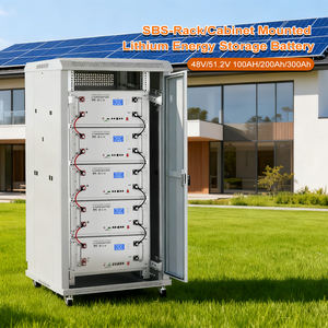 Batterie LiFePO4 <span class=keywords><strong>SBS</strong></span> série 48V 51.2V 100Ah 200Ah 300Ah à montage en rack, 6000 cycles, communication BMS - Product Image 2