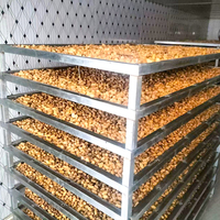 Máquina de Secado de Mango, Deshidratador de Frutas, Máquina para Frutas Secas