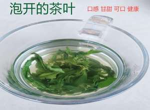 100% الطبيعية البرية Jiaogulan Gynostemma Pentaphyllum الشاي العضوي Jiaogulan الشاي فضفاضة ورقة تقليل ضغط الدم الشاي العشبية - Product Image 4