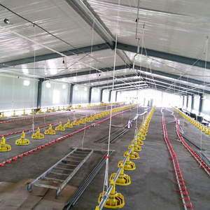 Poulailler industriel pour 10 000 poulets de chair, cages à poules pondeuses, conception de ferme avicole, structures en acier - Product Image 2